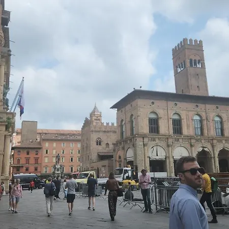 Comfort Bologna