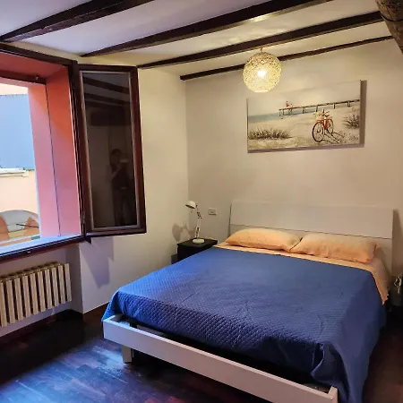 Comfort * Bolonia